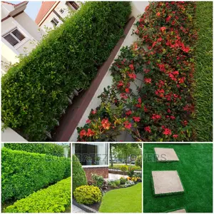 Qualify Landscaping Service