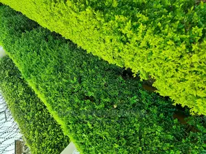Landscaping for Your Beautification of Your Environment