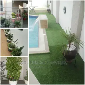 Beautify Your Environment With the Latest Artificial Grass