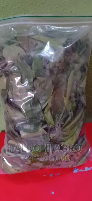 Fresh and Dried Organic Herbal Leaves (Soursop, Lemongrass
