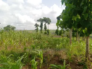 800 Acres of Farmland for Sale at 350,000 Per Acre