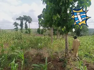 800 Acres of Farmland for Sale at 350,000 Per Acre