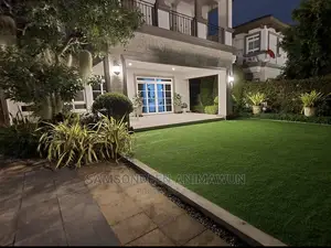 Quality Artificial Grass for Your Homes (Free Delivery)