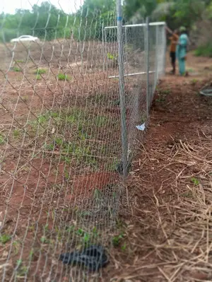 Cattle Ranch Using Chain Link