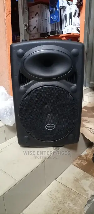 15inch Pa Rechargeable Speaker