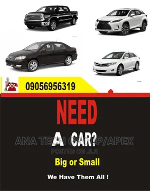 Car Dealer