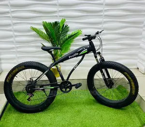 Big Tire Bicycles- Adult
