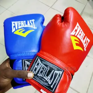 Everlast Boxing Gloves
