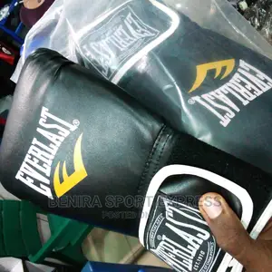 Boxing Gloves (Everlast)