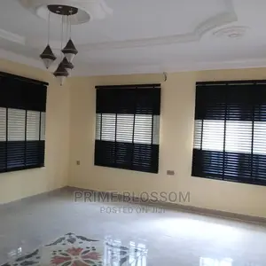 Window Blinds