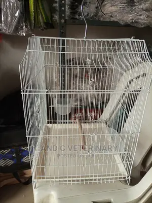 Economy Small Bird Cage