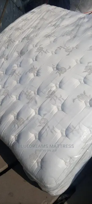 Usa Sear Opedic Spring Mattress