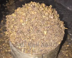 Local Vegetable Seeds(Ewedu, Shoko, Green, Scent Leaf, Okra