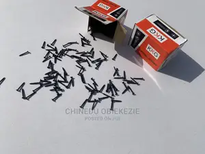 Drywall Screw - Black Screw