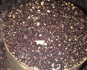 Local Vegetable Seeds(Ewedu, Shoko, Green, Scent Leaf, Okra