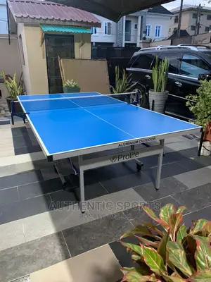 Aluminum Pro Life Outdoor Water Proof Table Tennis Board