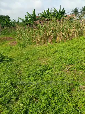 Half Plot of Land for Sale at Peace Estate Alimosho