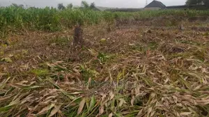 Land for Sale at Ijagemo Lagos State