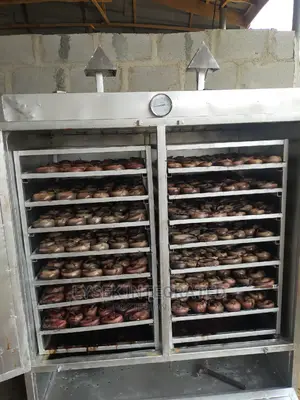 Smoking Klin for Fishes