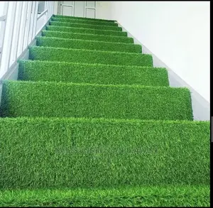 Turkish Carpet Grass (Free DELIVERY)