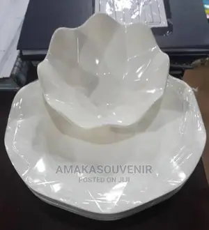 12 Pieces Unbreakable Ceramic Flat Plates and Bowls