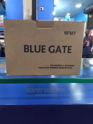 12v7ah Bluegate Ups Battery