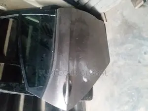Rear Door for Hyundai Elantra 2012