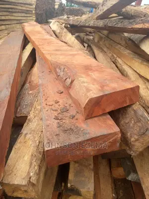 Mahogany Wood for Building Purposes