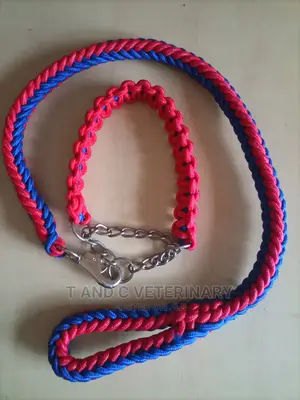 Quality Braided Pet Dog Leash and Collar