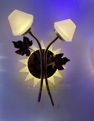 Led Wall Bracket Light