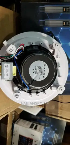 Professional Lucky Tone Ceiling Speaker 30watts