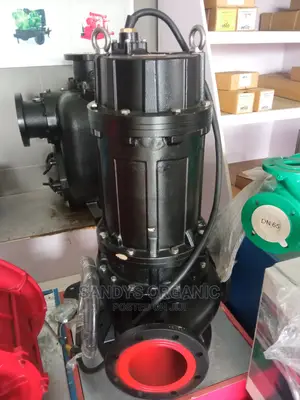 15hp Sewage Pump