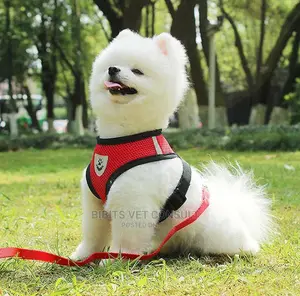 No Pull Comfort Padded Vest Harnesses for Small Pets