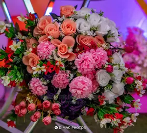 Wedding Planner and Decorator in Festac