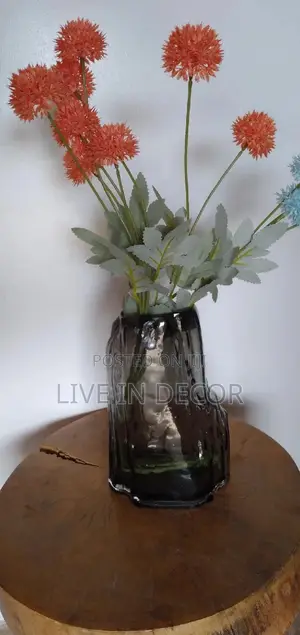 Hydroponic Glass Vase