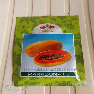 Maradona Dwarf Pawpaw Seeds F1