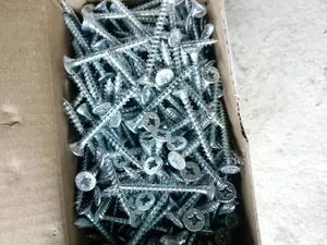 All Kinds of Screws