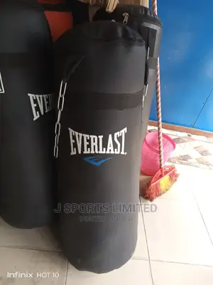 Everlast Punching Bag