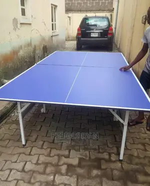 Indoor Table Tennis Board