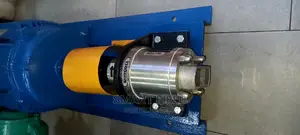Stainless Steel Gear Pump