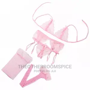 4pcs Crotchless Open Bra Pant Garter Net Stockings Lingerie