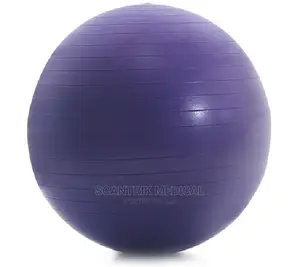 Scantrik Medical Supplies Exercise Ball Fitness