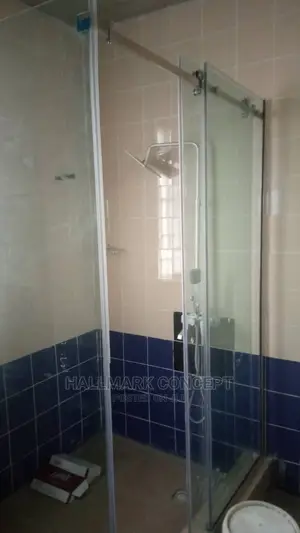 Shower Doors 10mm
