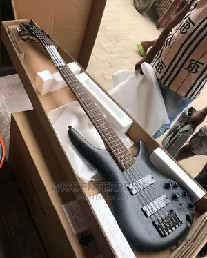 305 Ibanez Guitar