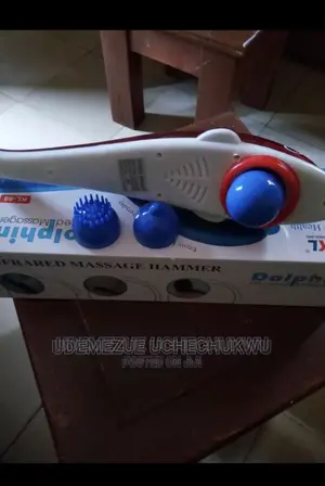 Dolphins Handheld Massage