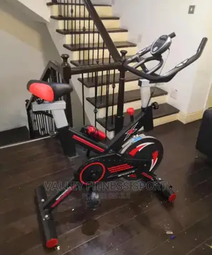 Standard Spinning Bike