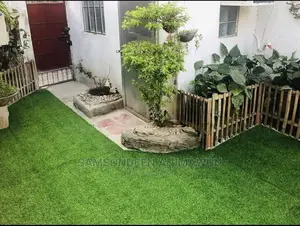 Quality Grass Carpet (Free Delivery) I