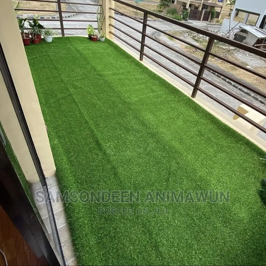 Carpet Grass