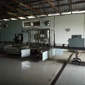 12 12 1 Automatic Straight Line Washing Filling and Capping.