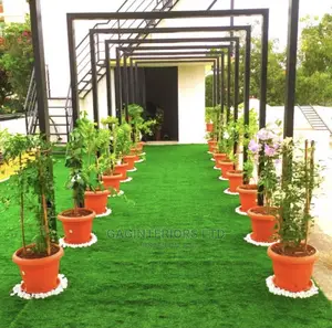 Green Grass Carpet
